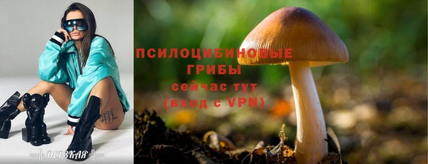 дживик Аркадак