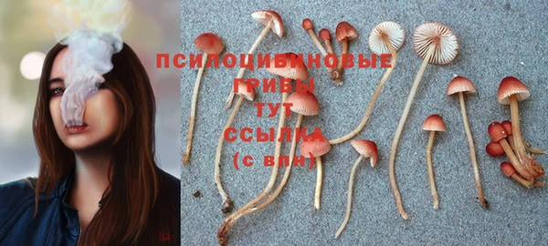 дживик Аркадак