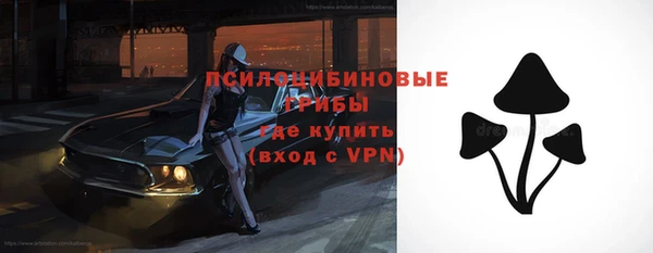 меф Арсеньев