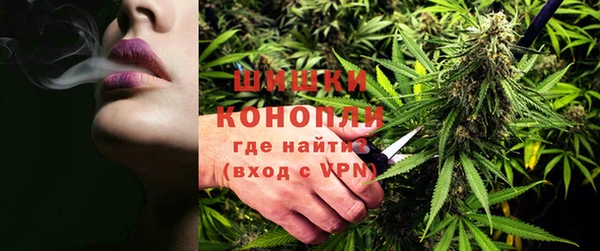 дживик Аркадак