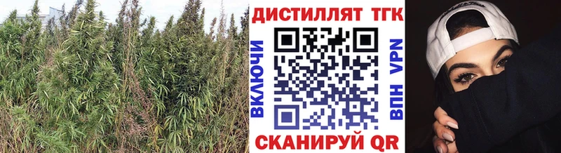 Дистиллят ТГК концентрат  МЕГА рабочий сайт  Рославль 